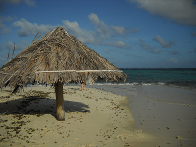 location maison sainte-anne sainte-luce location martinique pas cher